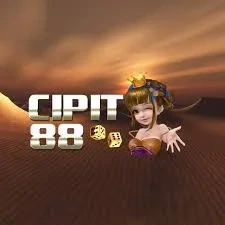 Panduan Lengkap Aplikasi cipit88 untuk Pemula